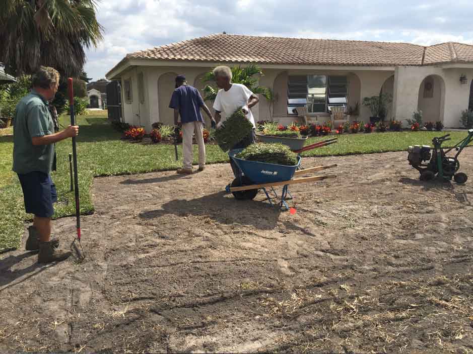 Jim Becker and Sons Removal old grass