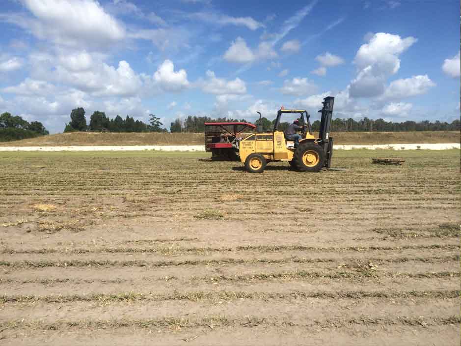 Jim Becker and Sons Removal old grass