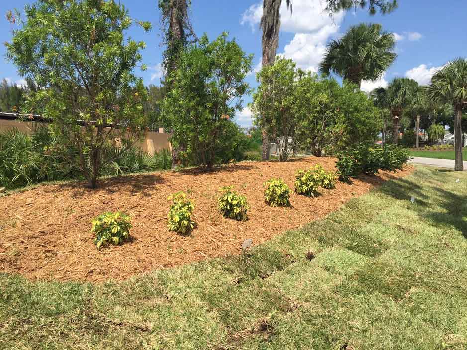 Jim Becker and Sons Fort Myers Florida Pallets