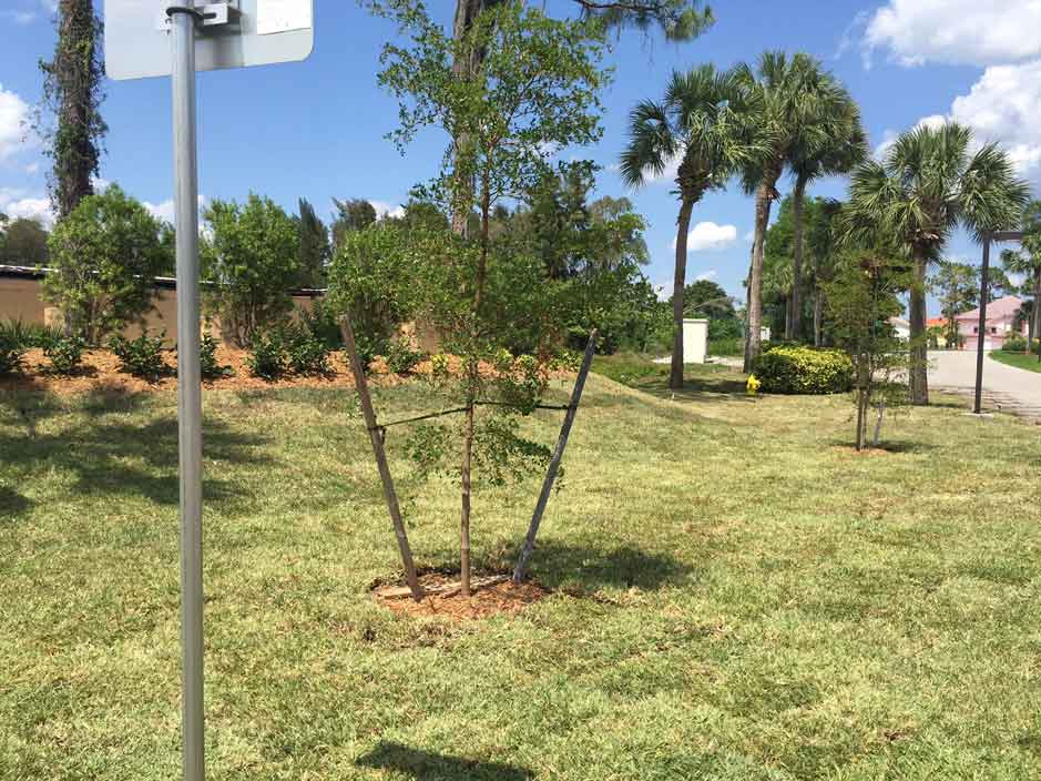 Jim Becker and Sons Fort Myers Florida Pallets