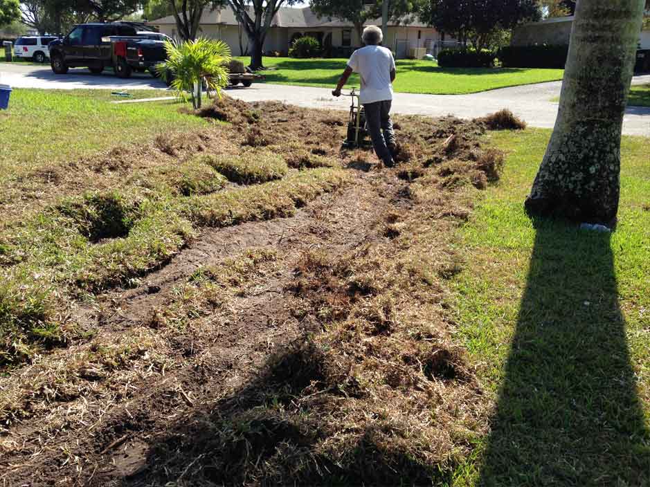 Jim Becker and Sons Fort Myers Florida Pallets