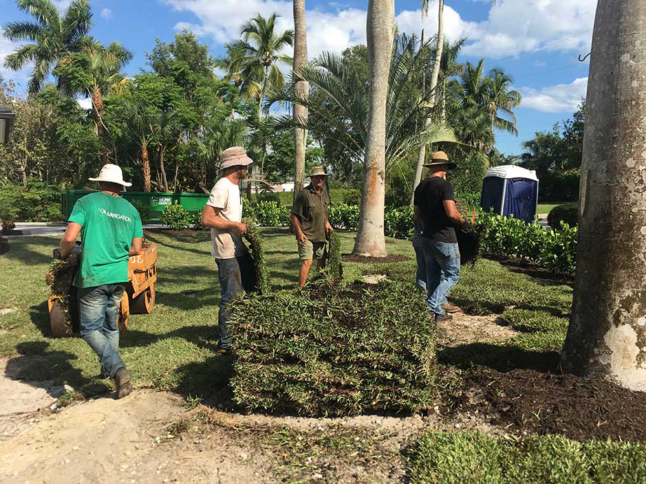 All the sons, Bryan, Jimmy, Matthew, Michael - working